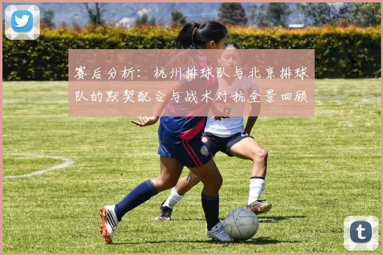 赛后分析：杭州排球队与北京排球队的默契配合与战术对抗全景回顾