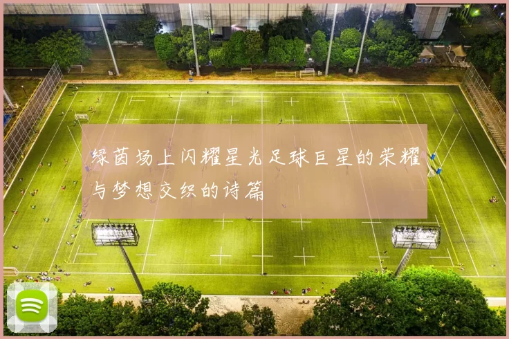 绿茵场上闪耀星光足球巨星的荣耀与梦想交织的诗篇