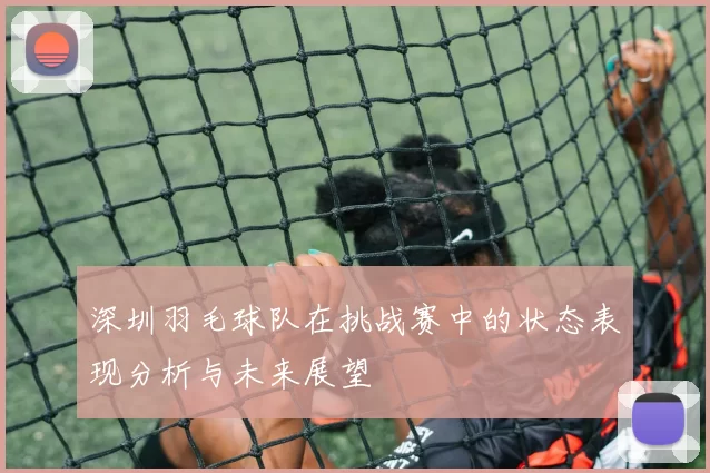 深圳羽毛球队在挑战赛中的状态表现分析与未来展望