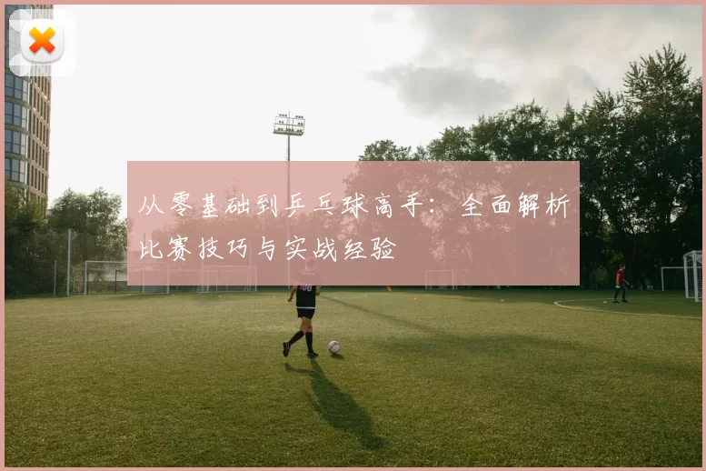 从零基础到乒乓球高手：全面解析比赛技巧与实战经验