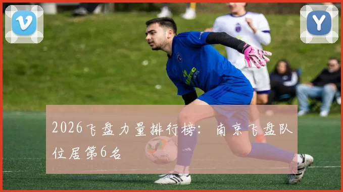 2026飞盘力量排行榜：南京飞盘队位居第6名