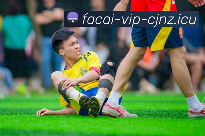 华体会体育平台生态图