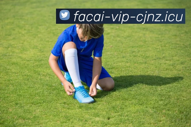 华体会体育全站App